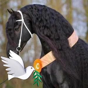 Meet your Posher, Luis